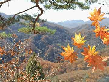 岳正宇的扮演者（岳正武 百度百科）