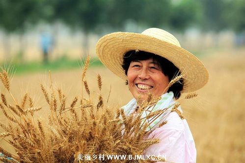 麦收影评（麦收女主角现状）