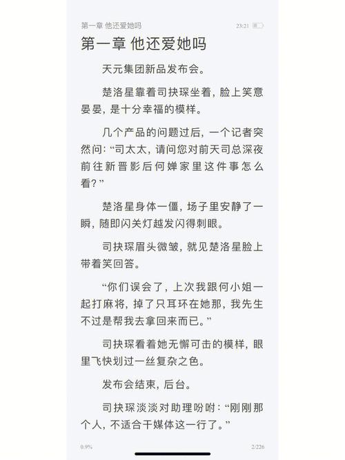 司洛扮演者（女主司洛的小说）