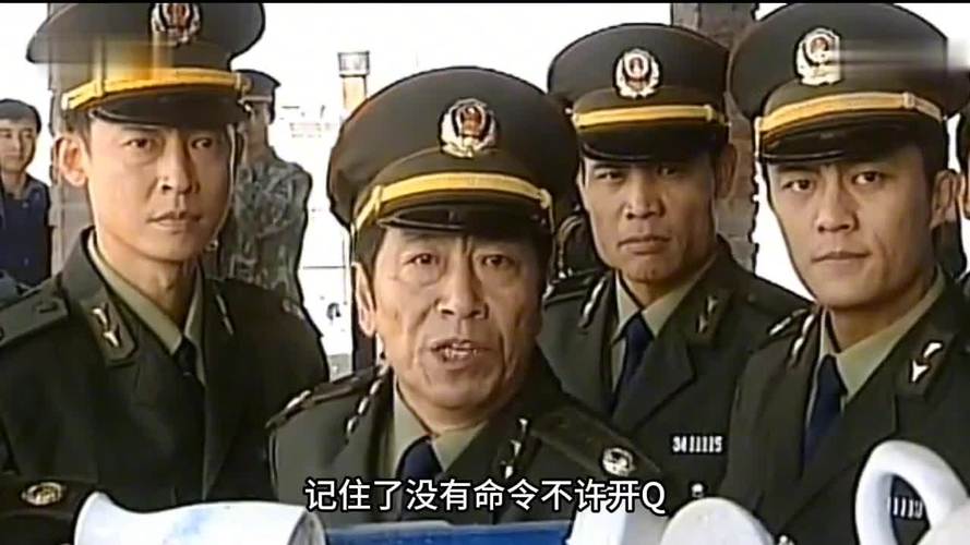 新型警本色扮演者（电视剧新刑警本色演员表）