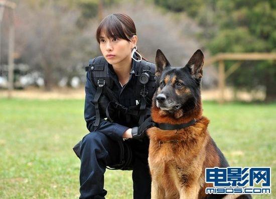 警犬来了曾姐扮演者（警犬来了是谁演的）