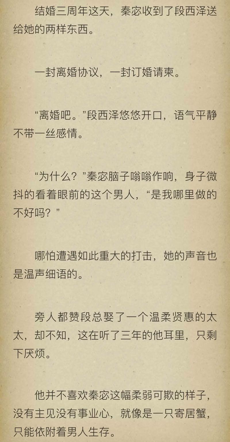 西泽阁下的扮演者（主角叫西泽的小说）